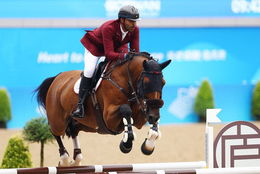 Carnosine – A Groundbreaking Muscle Recovery Supplement For Horses - CARNOGEL