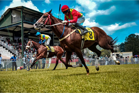 Horse Racing Supplements: A Natural Alternative for Clean Sport - CARNOGEL