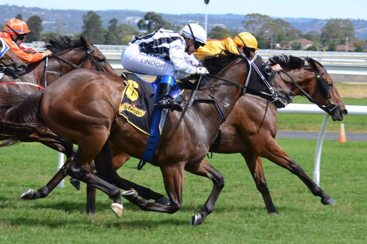 How to Speed Up Horse Recovery After Race - CARNOGEL