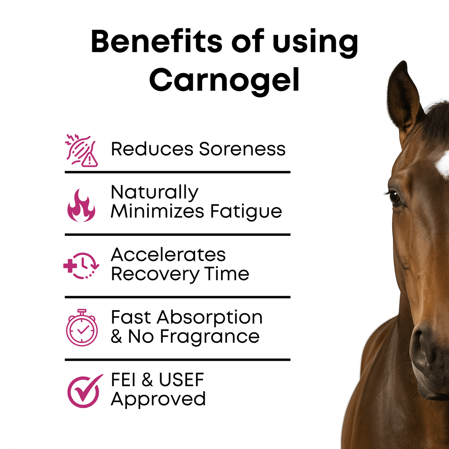 CARNOGEL SALE - CARNOGEL