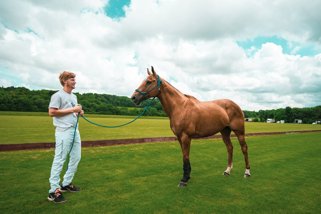 How Can I Tell if My Horse is in Pain? - CARNOGEL